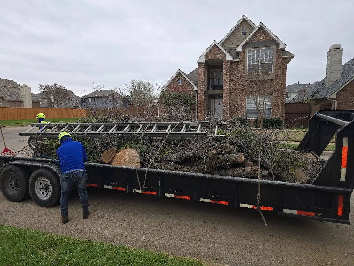 Expert Lot Clearing with proper safety equipment in Point Marion